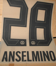 BVB  ANSELMINO 28-Spielerflock