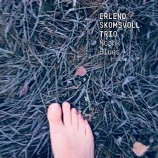 Noshk Blues by Erlend Skomsvoll Trio [CD]