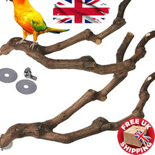 Wildes Traubenholz Vogel