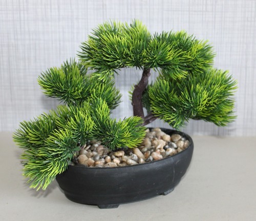Kunstpflanze bonsai kiefer - bonsai,