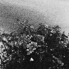 Celestial Sword / Trhä