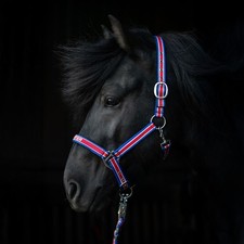 Top Reiter II Halter Set with