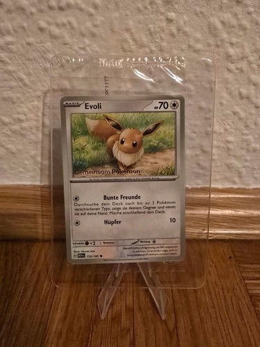 Pokémon gemeinsam pokemon - gemeinsam,