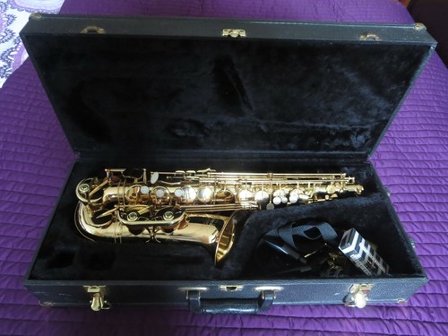 Expression altsaxophon - expression,