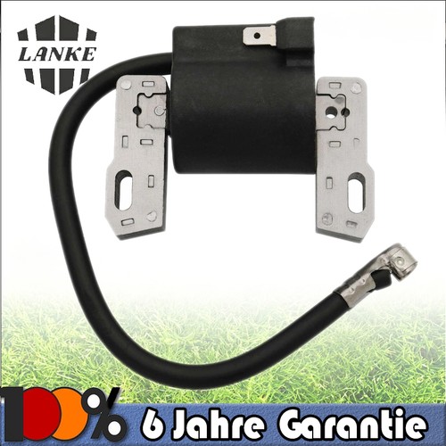 Zündspule für briggs - zündspule, &