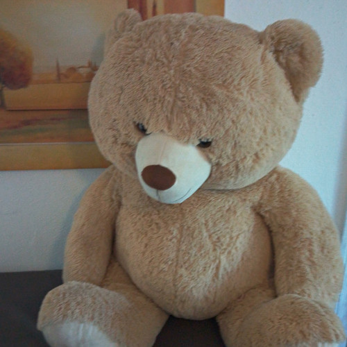 Großer plüsch teddybär - großer, plüsch-teddybär
