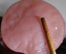 50g  Kombucha Hibiskus-blüte