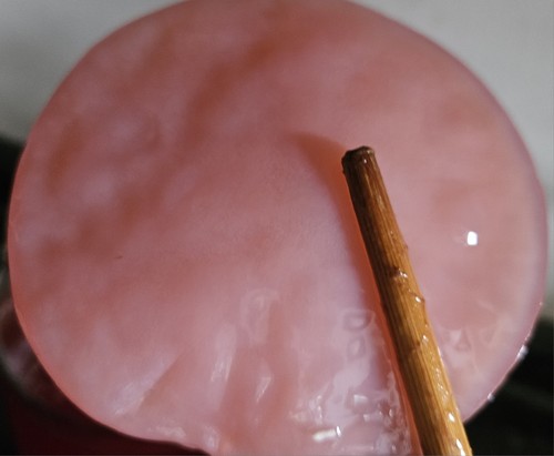 100 kombucha - g,