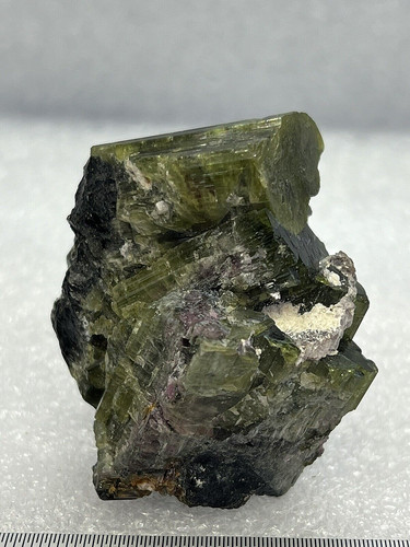 Mehrfarbiger wassermelonen - mehrfarbiger,