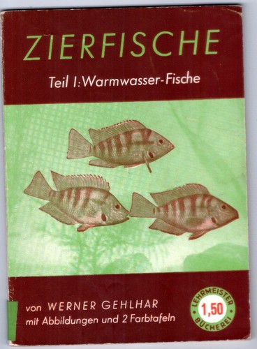 Zierfische warmwasser fische - zierfische-, warmwasser-fische