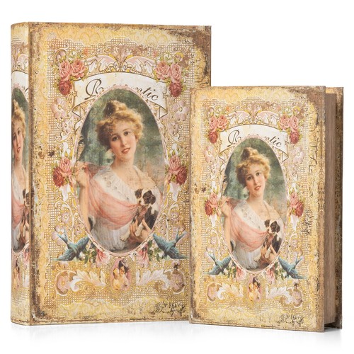 Buchtresor buchattrappe dame - buchattrappe,
