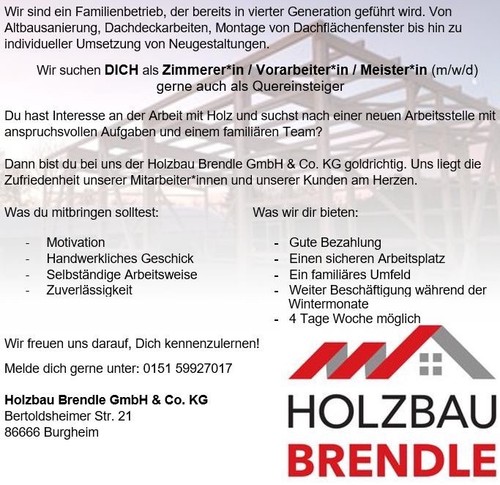 Zimmerer vorarbeiter in - zimmerer*in, /
