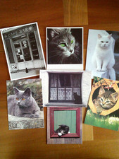 katzen - postkarten