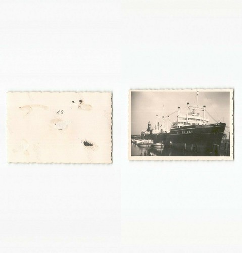 N1961910 deutscher walfang - deutscher,