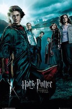 Harry Potter und der