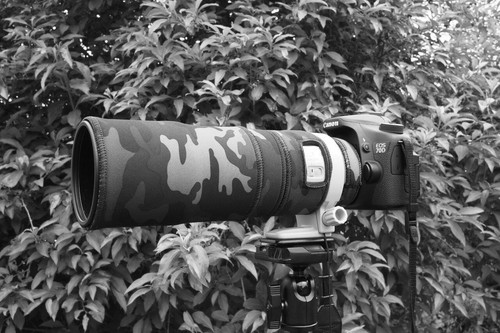 Canon 300 is neopren - 300, f4