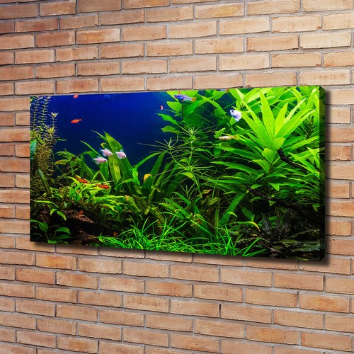 Leinwandbild kunst druck - leinwandbild, kunst-druck
