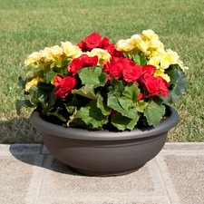 Blumenschale 70 cm Ø rund in Anthrazit Schale Pflanzschale Blumentopf Schalen