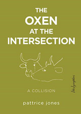Oxen At The Intersection: A