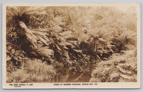 Rppc farne barrum paradise - rppc,