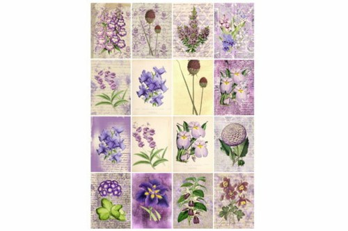 Scrapbook papier - scrapbook,