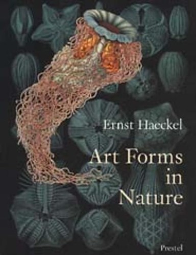 Art forms nature the - in,