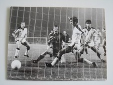 Eintracht Frankfurt-PAOK Saloniki  1981/82 Europacup - Pressebild  F619