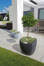 Scheurich Blumentopf Wave Globe Slim Wellenform Versch. Farben und Größen