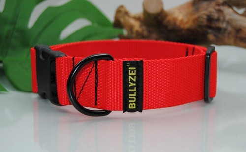 Verstellbares nylon halsband - verstellbares,