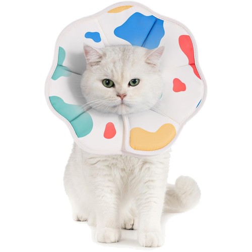Halskrause katze hund - halskrause,