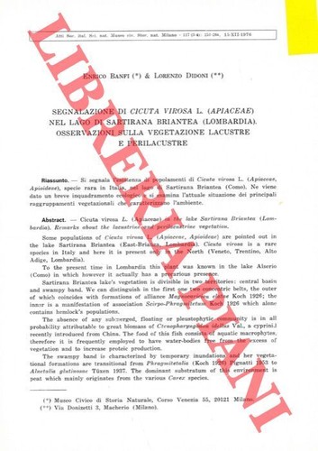 Banfi didoni lorenzo - didoni,