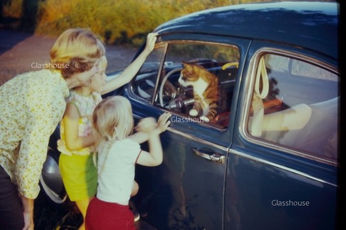 Mother daughters looking at - daughters,
