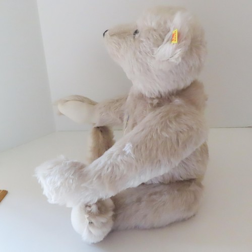 Steiff giengen teddy bear - giengen,