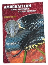 Amurnattern Elaphe schrenckii