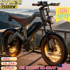 1500W Electric Bicycle 48V
