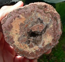 Drusenborn große halbe Geode