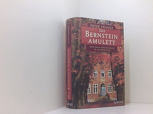 Das bernstein amulett roman - das,