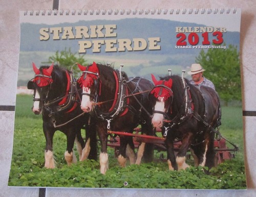 Starke pferde kalender 2013 - pferde,