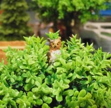 Kauz, sitzend, Wildvogel, Landschaft, passend zur Spur G/ LGB, G-Scale, neu