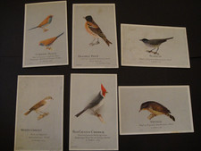 6 KAPERN VOGELFUTTER VOLIERE &