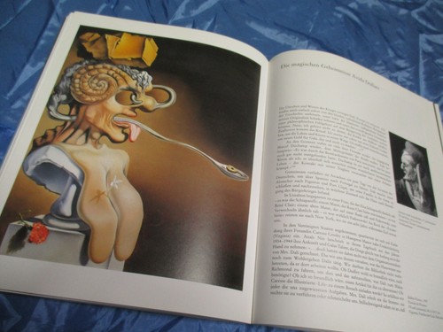Salvador dali kunst - salvador,