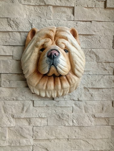 Grosser stein chow - stein,