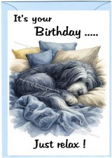 Bearded Collie Hund Beardie