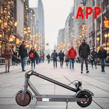 Gebr.-350W-App-Smart-Scoot,-20