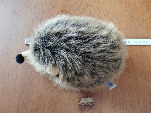 Nici igel igelchen - nici,