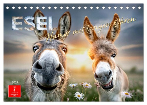 Esel humor mit langen ohren - -,