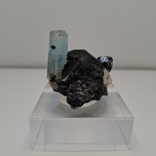 Aquamarin auf Schörl ( Schwarzer Turmalin) Erongo Namibia