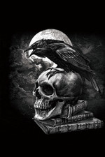 ALCHEMY ART - POES RAVEN 3D
