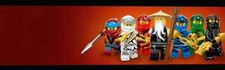 LEGO Ninjago versch