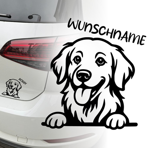 Golden retriever auto - retriever,